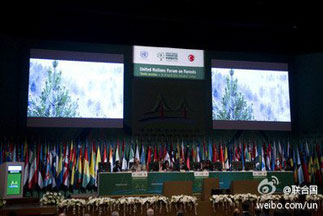 The twelfth session of the United Nations Forum on Forests was held in New York