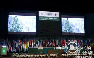 联合国森林论坛第十二届会议在纽约召开