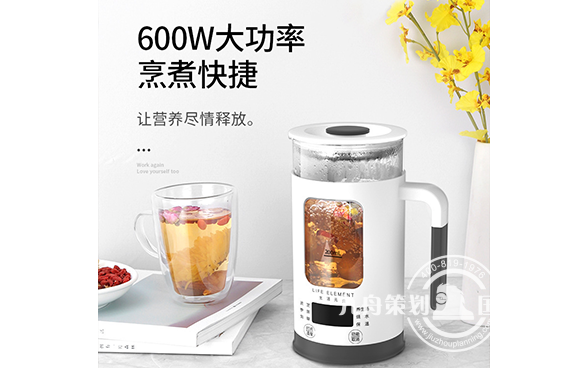 生活元素i13养生壶