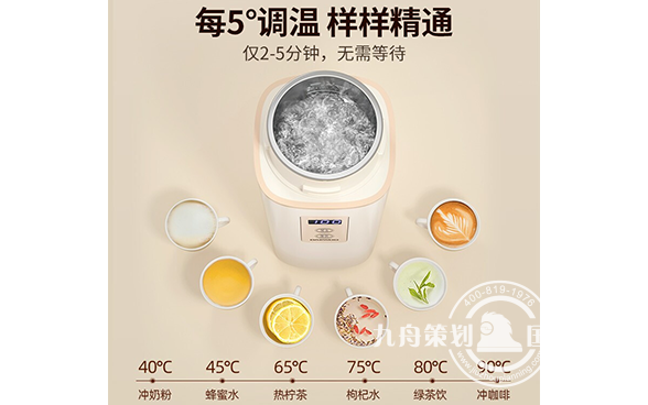 韩国大宇便携式旅行电热水杯